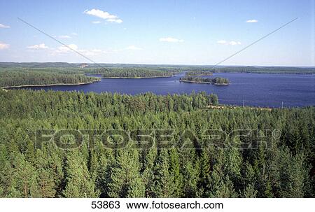 Forest with lake in background, Finland View Large Photo Image Stock Image - Forest with lake in background, Finland . Fotosearch