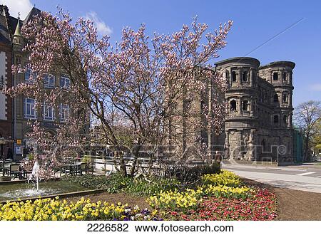 Stock Image - Fountain near blooming tree and flowers in front of ancient gate, Porta Nigra, Trier, Germany . Fotosearch