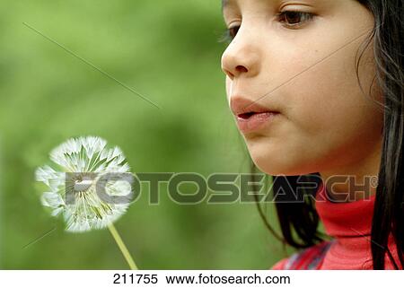 Girl blowing dandelion View Large Photo Image Stock Photography - Girl blowing dandelion . Fotosearch