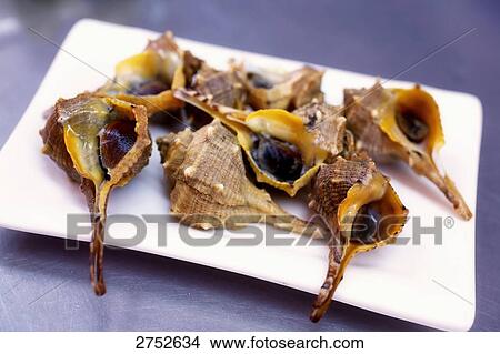 Picture - High angle view of conch shells on a platter . Fotosearch