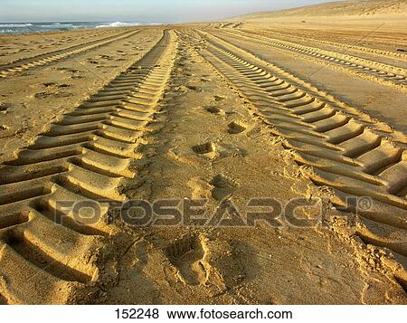 Stock Photo - High angle view of footprints and tire tracks on sand . Fotosearch