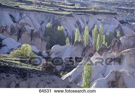 High angle view of plants on landscape, Cappadocia, Turkey View Large Photo Image Stock Image - High angle view of plants on landscape, Cappadocia, Turkey . Fotosearch