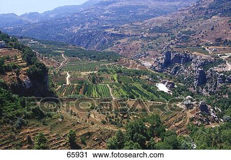 High angle view of valley, Mount Lebanon, Lebanon View Large Photo Image Stock Image - High angle view of valley, Mount Lebanon, Lebanon . Fotosearch