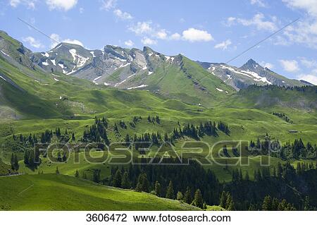 Stock Image - Klewenalp, Alps, Switzerland . Fotosearch