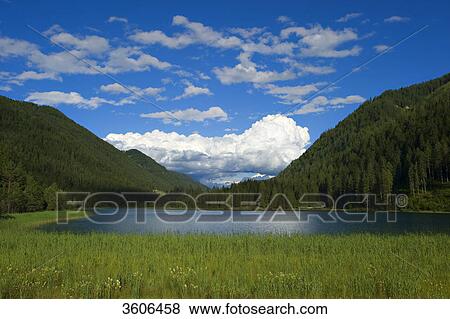 Lake in the Gailtaler Alps, Austria View Large Photo Image Stock Photo - Lake in the Gailtaler Alps, Austria . Fotosearch