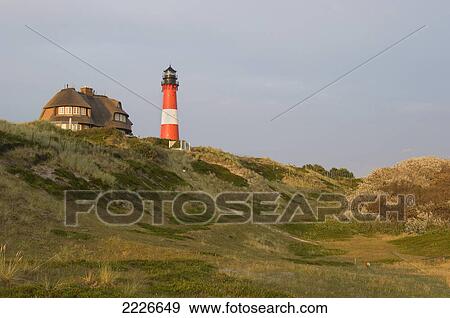 Lighthouse and cottage on landscape, Sylt, Schleswig-Holstein, Germany View Large Photo Image Stock Photo - Lighthouse and cottage on landscape, Sylt, Schleswig-Holstein, Germany . Fotosearch
