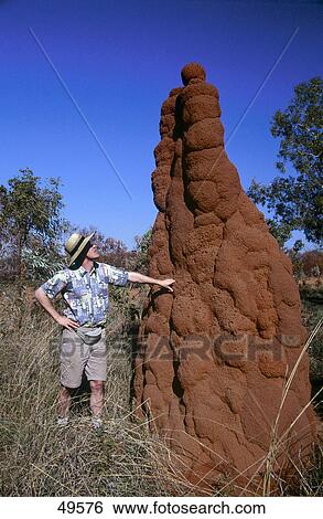 Man standing near termite mound, Australia View Large Photo Image Stock Photograph - Man standing near termite mound, Australia . Fotosearch