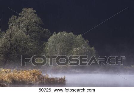 Morning mist over lake, Weitsee, Ruhpolding, Chiemgau, Bavaria, Germany View Large Photo Image Stock Photography - Morning mist over lake, Weitsee, Ruhpolding, Chiemgau, Bavaria, Germany . Fotosearch