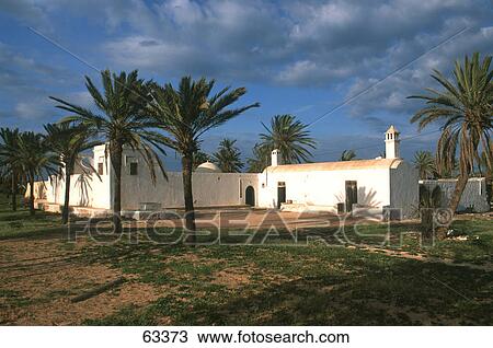Palm trees near mosque under overcast sky, Djerba, Tunisia View Large Photo Image Stock Image - Palm trees near mosque under overcast sky, Djerba, Tunisia . Fotosearch