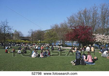 People relaxing in park at riverbank, Rhine River, Cologne, North Rhine-Westphalia, Germany View Large Photo Image Stock Photo - People relaxing in park at riverbank, Rhine River, Cologne, North Rhine-Westphalia, Germany . Fotosearch