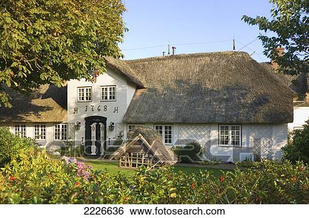 Stock Photograph - Plants in front of thatched house, Germany . Fotosearch