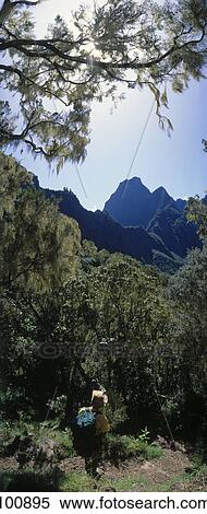 Rear view of hiker on mountain, Cirque De Cilaos, Reunion Island, France View Large Photo Image Stock Photography - Rear view of hiker on mountain, Cirque De Cilaos, Reunion Island, France . Fotosearch