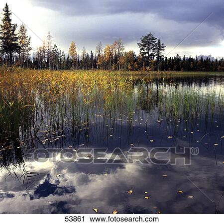 Reflection of clouds in lake, Norway View Large Photo Image Stock Image - Reflection of clouds in lake, Norway . Fotosearch