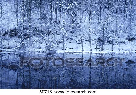 Reflection of trees in lake, Berchtesgadener Alps, Bavaria, Germany View Large Photo Image Stock Photograph - Reflection of trees in lake, Berchtesgadener Alps, Bavaria, Germany . Fotosearch