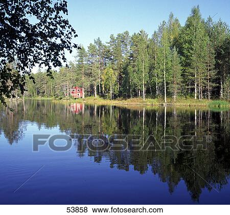 Reflection of trees in water, Norway View Large Photo Image Stock Photo - Reflection of trees in water, Norway . Fotosearch