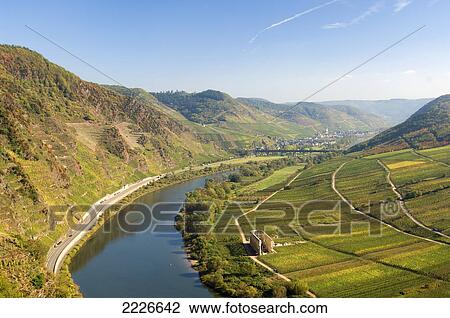 Stock Image - River passing through landscape, Moselle River, Ediger-Eller, Rhineland-Palatinate, Germany . Fotosearch
