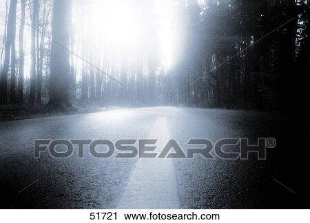 Road running through forest View Large Photo Image Stock Image - Road running through forest . Fotosearch