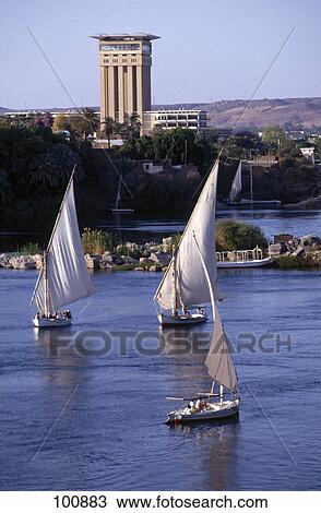 Sailboats in river, Aswan, Egypt View Large Photo Image Stock Image - Sailboats in river, Aswan, Egypt . Fotosearch