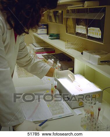 Side profile of female scientist working in laboratory View Large Photo Image Stock Photography - Side profile of female scientist working in laboratory . Fotosearch