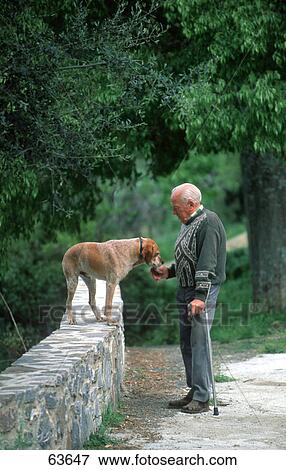 Side profile of senior man feeding dog, Corsica, France View Large Photo Image Stock Photo - Side profile of senior man feeding dog, Corsica, France . Fotosearch