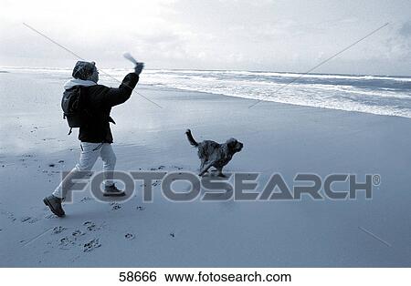 Side profile of woman running with her dog on beach View Large Photo Image Stock Photograph - Side profile of woman running with her dog on beach . Fotosearch