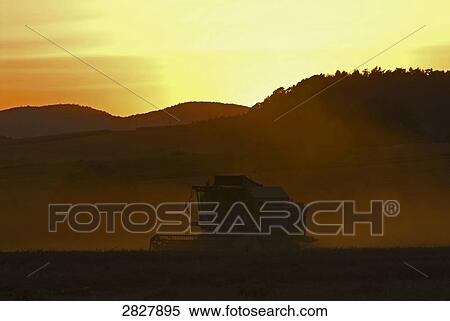 Silhouette of combine harvester in field at sunset, Marburg-Biedenkopf, Hesse, Germany View Large Photo Image Stock Photography - Silhouette of combine harvester in field at sunset, Marburg-Biedenkopf, Hesse, Germany . Fotosearch
