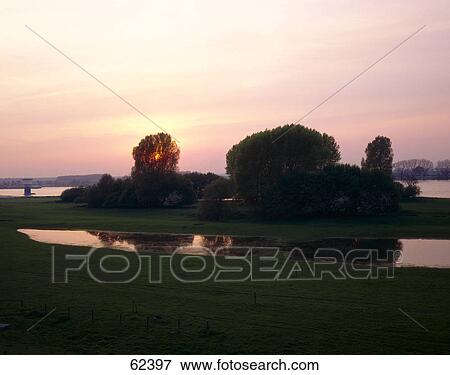 Stock Photo - Silhouette of trees in river at dusk . Fotosearch