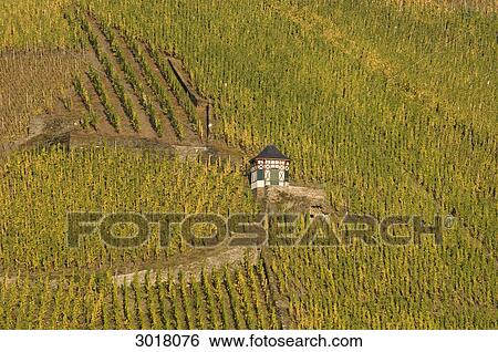 Single hut in vineyard, Bernkastel-Kues, Rhineland-Palatinate, Germany View Large Photo Image Stock Photograph - Single hut in vineyard, Bernkastel-Kues, Rhineland-Palatinate, Germany . Fotosearch