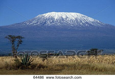 Snowcapped volcanic mountain, Kilimanjaro, Kenya View Large Photo Image Stock Photograph - Snowcapped volcanic mountain, Kilimanjaro, Kenya . Fotosearch