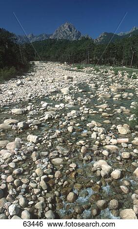Stream flowing through forest, France View Large Photo Image Stock Photograph - Stream flowing through forest, France . Fotosearch