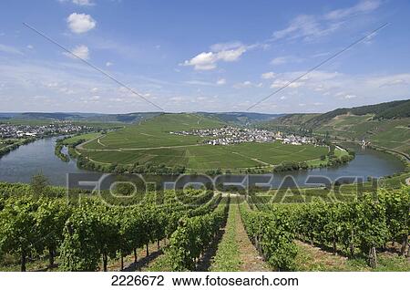 Town on island, Moselle River, Germany View Large Photo Image Stock Image - Town on island, Moselle River, Germany . Fotosearch