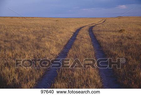 Stock Image - Track across field . Fotosearch
