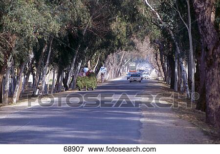 Traffic on road, Peshawar, Pakistan View Large Photo Image Stock Photo - Traffic on road, Peshawar, Pakistan . Fotosearch