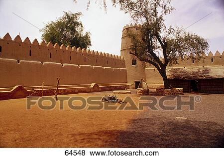 Tree in courtyard of fort, Al Jahili Fort, Al Ain, Abu Dhabi, United Arab Emirates View Large Photo Image Stock Photo - Tree in courtyard of fort, Al Jahili Fort, Al Ain, Abu Dhabi, United Arab Emirates . Fotosearch