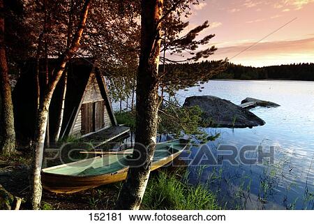 Trees at lakeside, Mikkeli, Finland View Large Photo Image Stock Image - Trees at lakeside, Mikkeli, Finland . Fotosearch