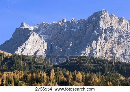 Trees in forest, Mt Zugspitze, Germany View Large Photo Image Picture - Trees in forest, Mt Zugspitze, Germany . Fotosearch