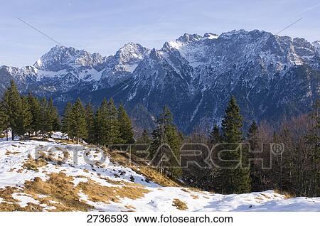 Trees on snow covered landscape, Karwendel, Wetterstein, Germany View Large Photo Image Stock Image - Trees on snow covered landscape, Karwendel, Wetterstein, Germany . Fotosearch