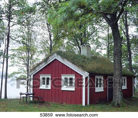 Trees over log cabin, Sweden, Scandinavia View Large Photo Image Stock Photo - Trees over log cabin, Sweden, Scandinavia . Fotosearch