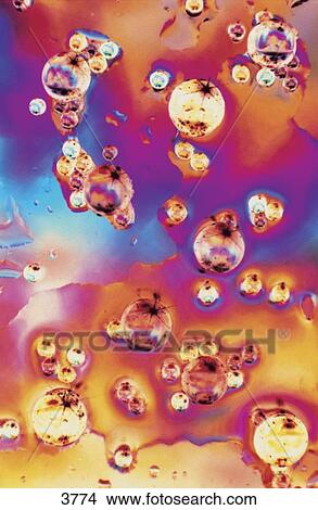 Water droplets on colored surface View Large Photo Image Picture - Water droplets on colored surface . Fotosearch