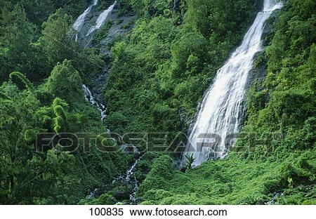 Stock Photography - Waterfalls in forest, Cirque of Salazie, Reunion Island, France . Fotosearch