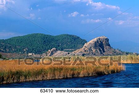 Weeds in lake, Lake Koycegiz, Turkey View Large Photo Image Stock Image - Weeds in lake, Lake Koycegiz, Turkey . Fotosearch