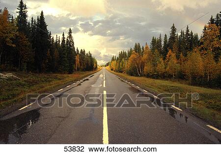Wet road running through forest View Large Photo Image Stock Image - Wet road running through forest . Fotosearch