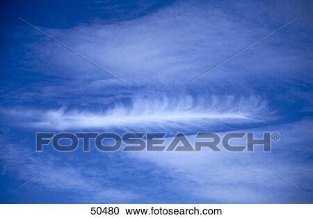 Stock Image - White feather cloud in blue sky . Fotosearch