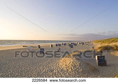 Wicker chairs on beach at dusk, Kampen, Schleswig-Holstein, Germany View Large Photo Image Picture - Wicker chairs on beach at dusk, Kampen, Schleswig-Holstein, Germany . Fotosearch
