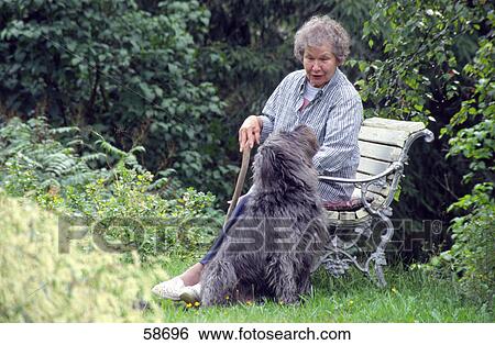 Woman stroking dog in garden View Large Photo Image Stock Photograph - Woman stroking dog in garden . Fotosearch