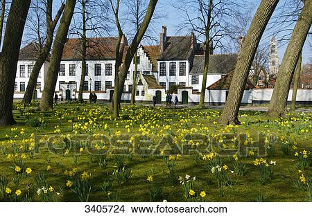 Picture - Abbey Beginenhof, Bruges, Flanders, Belgium . Fotosearch