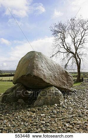 Stock Photo - Bare tree and rocks in field, Kilfeaghan, Dolmen . Fotosearch