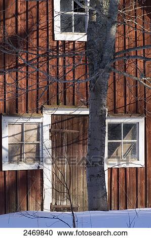 Stock Image - Bare tree in front of torp, Hoeghult, Sweden . Fotosearch