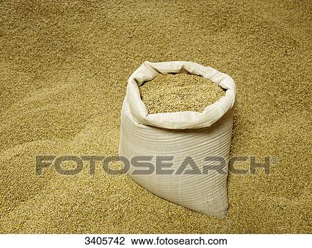 Stock Image - Barley in a bag . Fotosearch