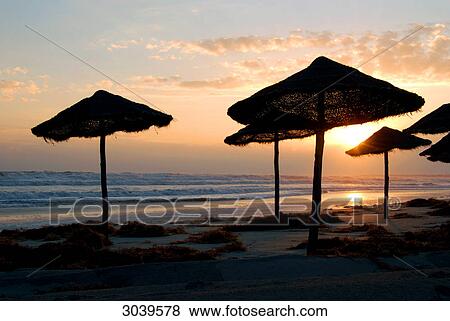Beach umbrellas before rising sun, Plage de Sidi Mahres near Midou, Djerba, Tunisia, silhouette View Large Photo Image Stock Photo - Beach umbrellas before rising sun, Plage de Sidi Mahres near Midou, Djerba, Tunisia, silhouette . Fotosearch